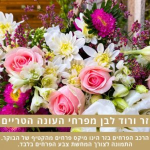 ורוד לבן לפי בחירת השוזר